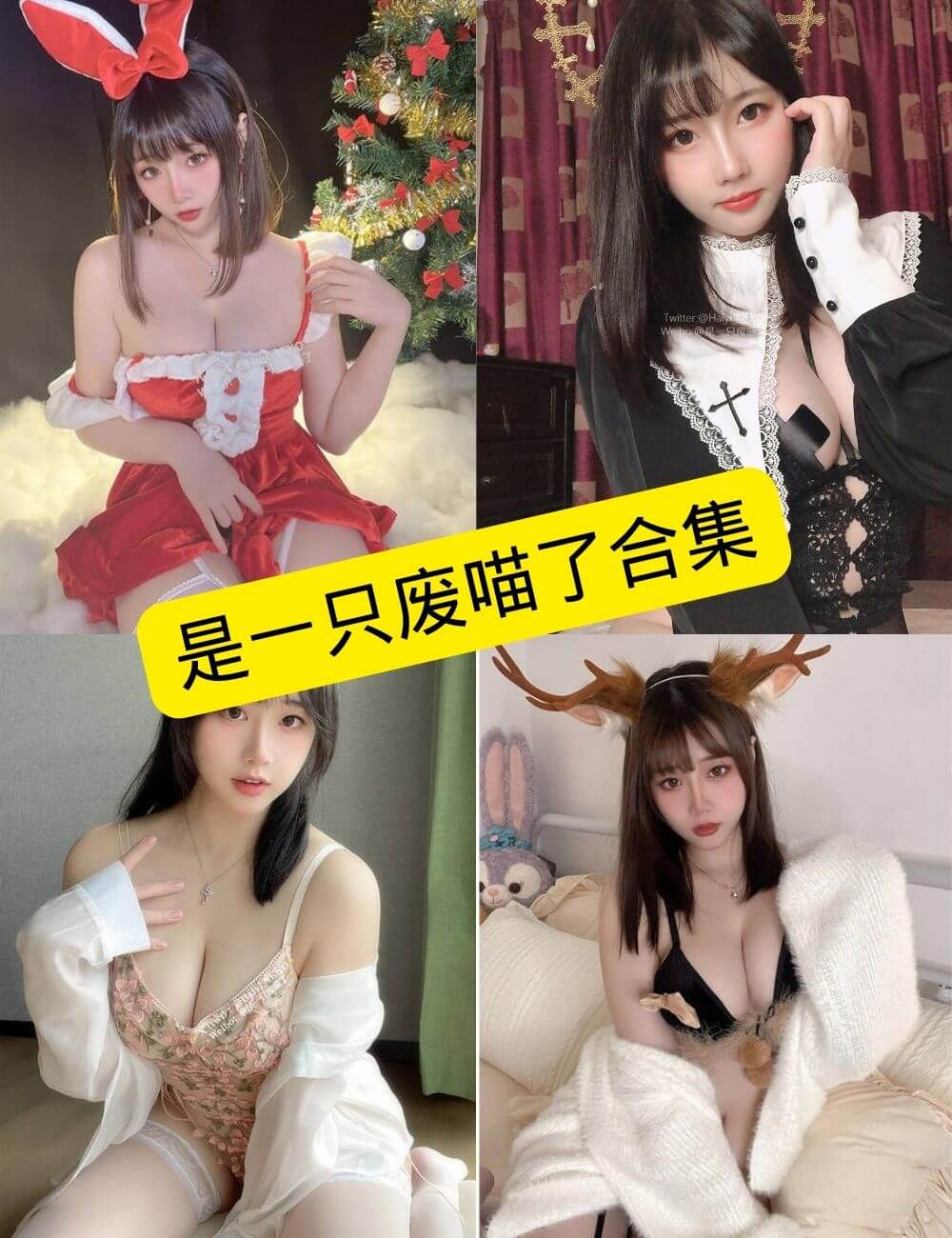 性感诱惑 是一只废喵了 最新写真套图合集下载