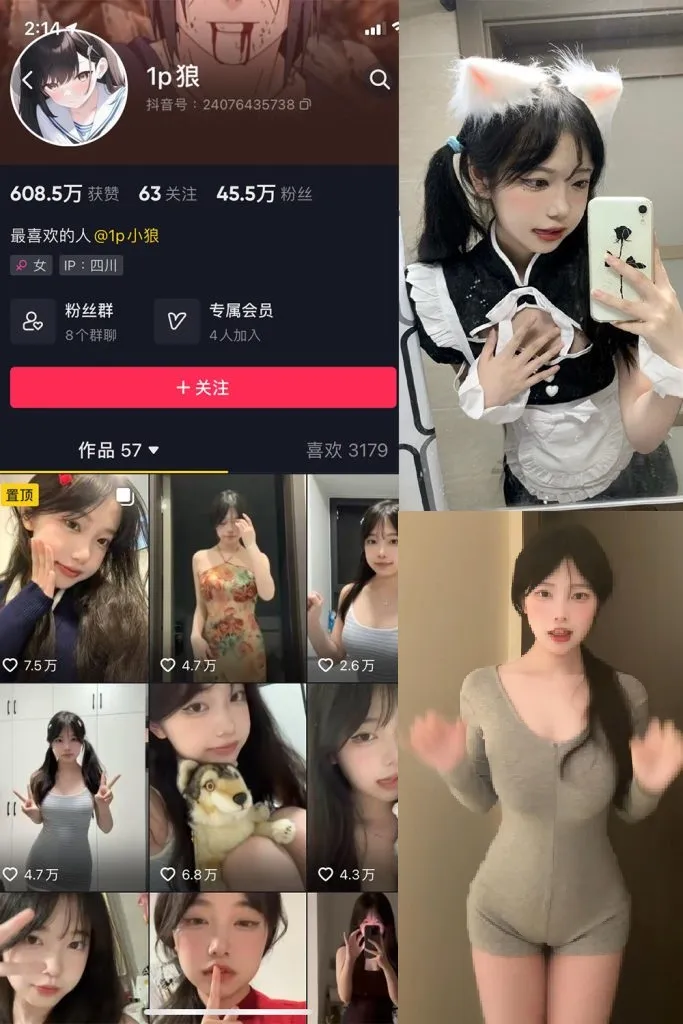 【岛遇】抖音小狼崽合集【72P 66V】